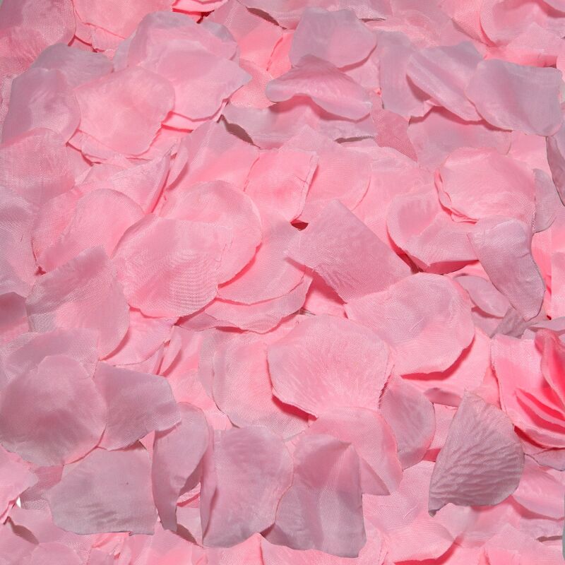 Petali di Rosa Decorativi Diablo Picante — 100 Petali Rosa