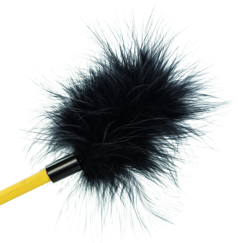 Frusta Bondage con Piuma Calexotics Boundless Feather Crop