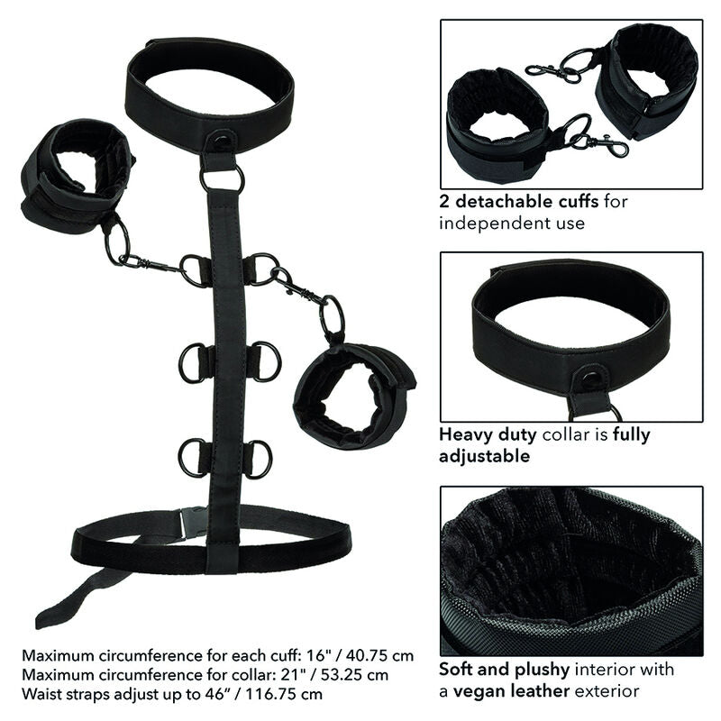Collare BDSM con Sistema Contenimento Calexotics Boundless