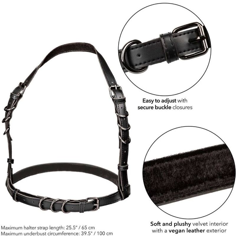 Imbracatura Harness Calexotics Euphoria Halter — Fibbia, Nera