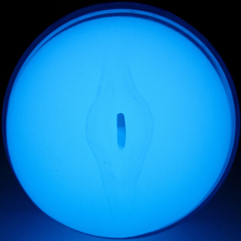 Masturbatore Maschile Luminescente Kiiroo Feel the Glow
