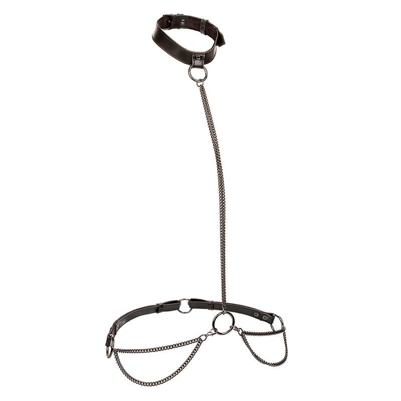 Collare BDSM con Guinzaglio Calexotics Euphoria — Multicatena