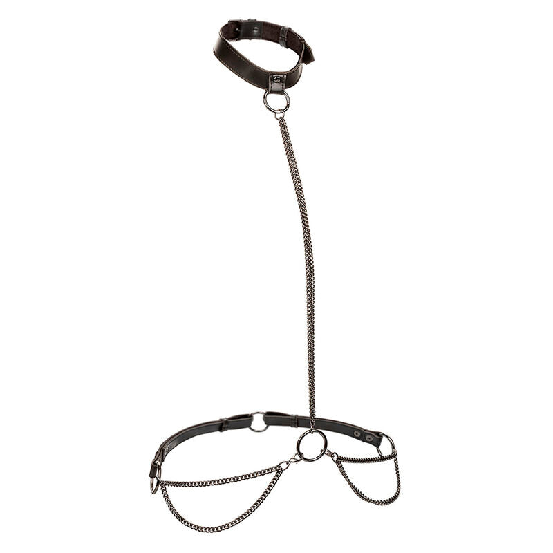 Collare BDSM con Guinzaglio Calexotics Euphoria — Plus Size