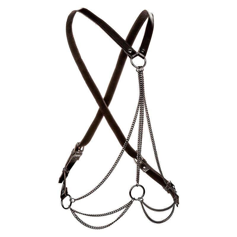 Imbracatura con Catene Calexotics Euphoria Multichain — BDSM