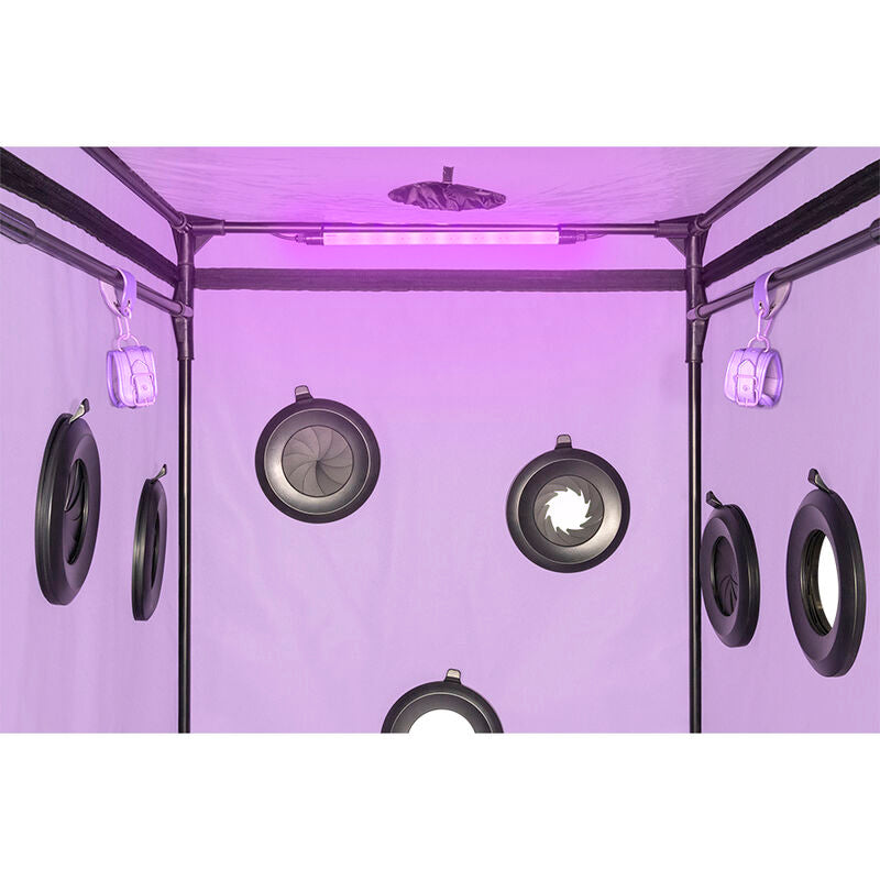 Kit Bondage Immersivo Secret Dome Scandale — Viola