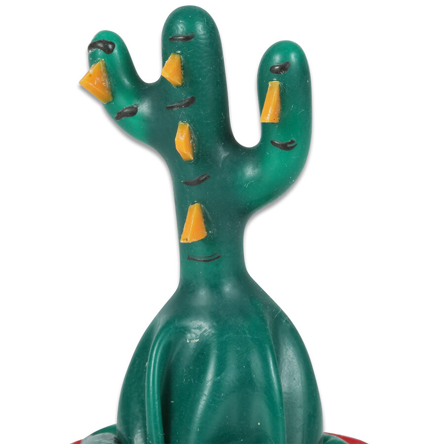Preservativi Dipinti a Mano Condomerie Cactus — Edizione Artigianale