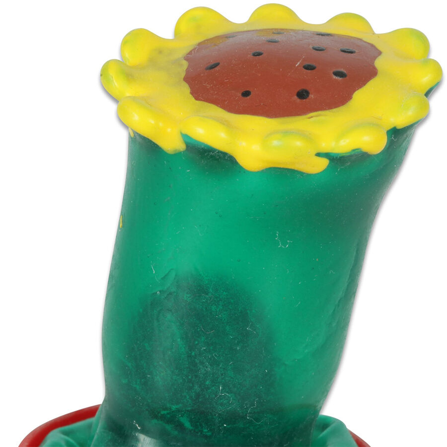 Preservativi Dipinti a Mano Condomerie Girasole — Stile Amsterdam