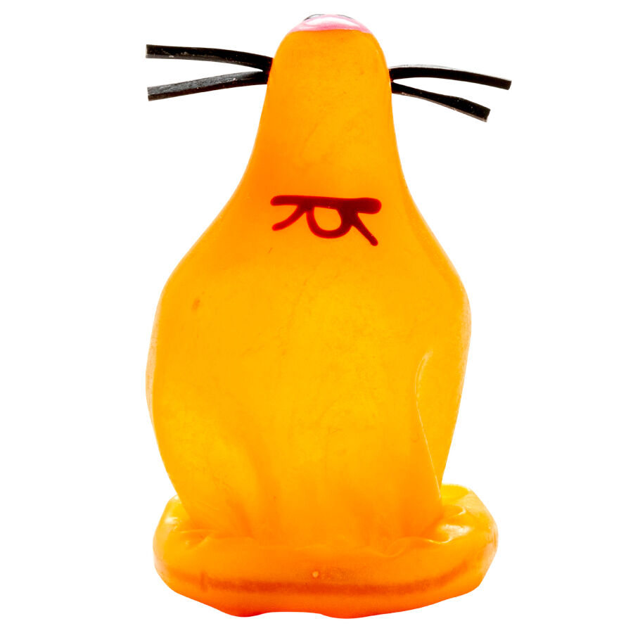 Preservativi Dipinti a Mano Condomerie Fox — Edizione Artistica