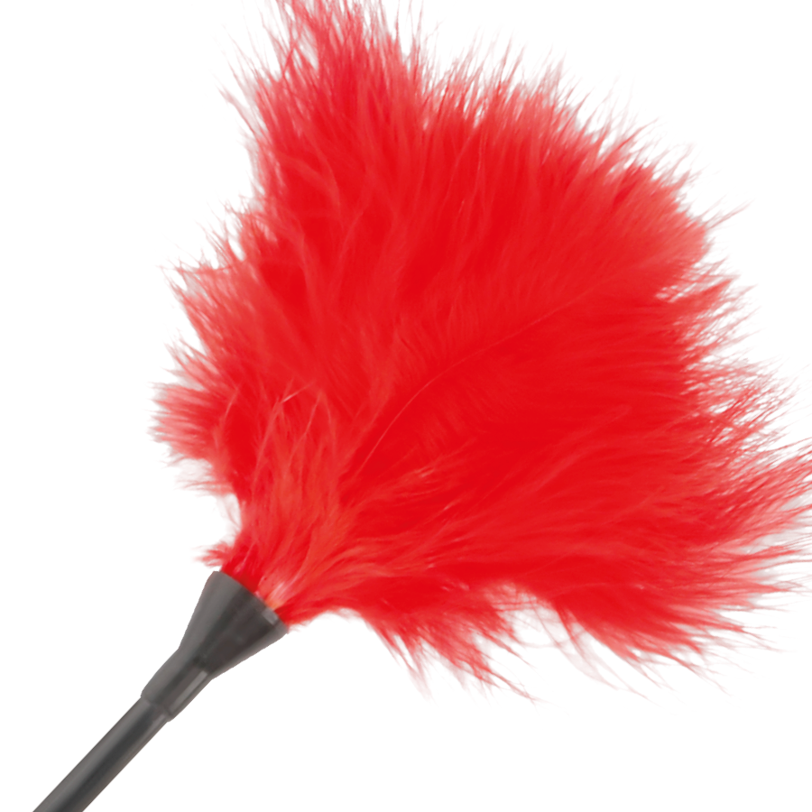 Penna con Piume per Giochi Sensuali Darkness — 42 cm, Rosso