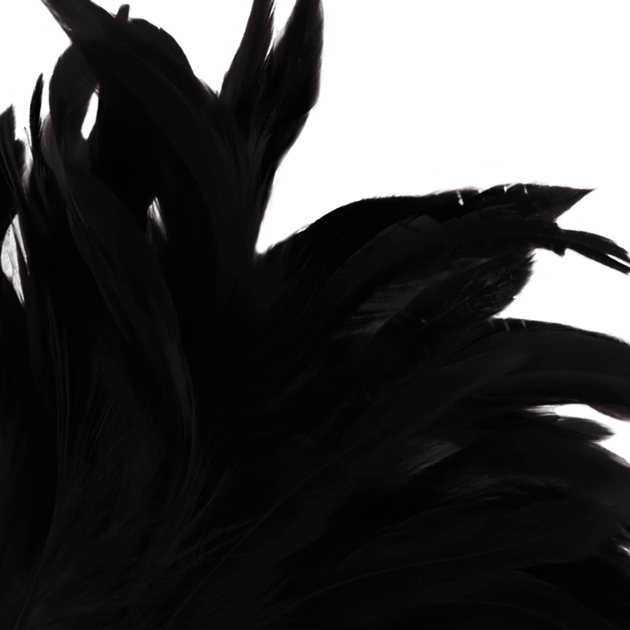 Piuma Erotica per Stimolazione Sensoriale Darkness Lux — Nera