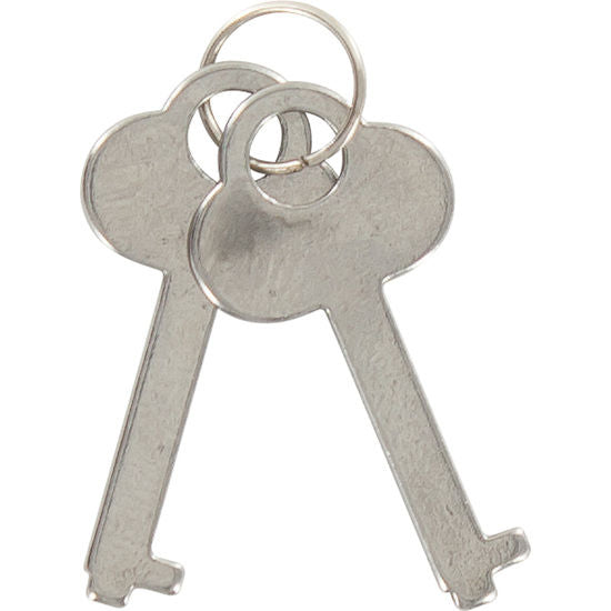 Manette BDSM in Metallo Toyjoy — Catena Acciaio Cromato