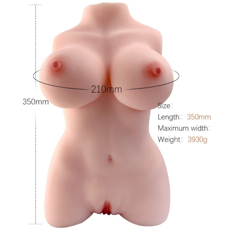 Modello Realistico Di Torso Femminile No.3 – Armony