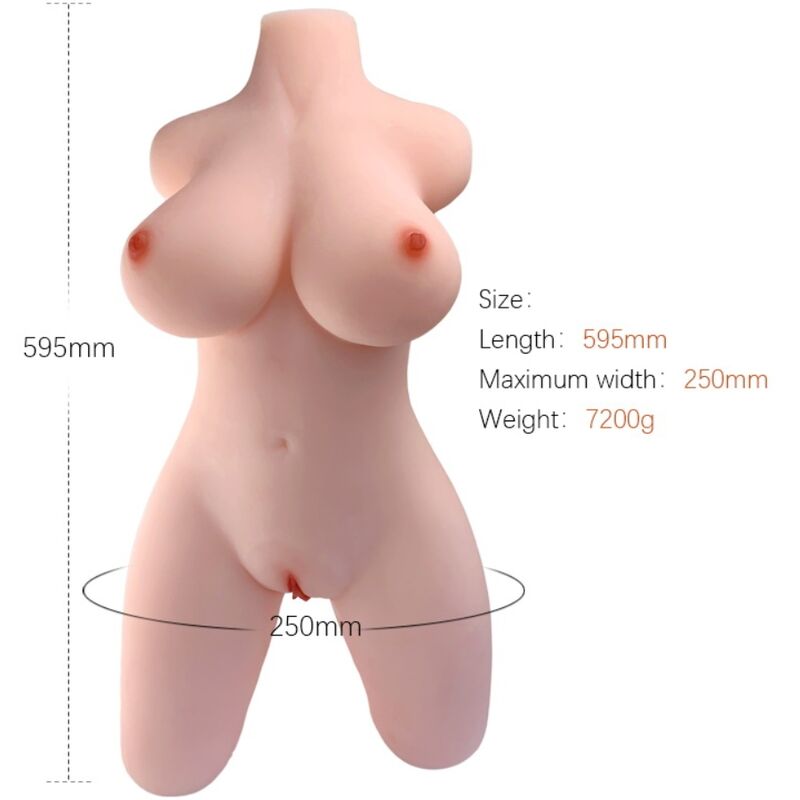 Torso Femminile Realistico Armony Modello 2